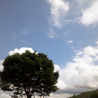 思いもよらず晴れ