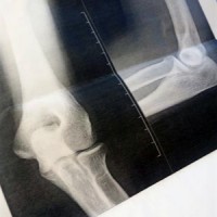 プライベートスクールは無事に終了したのですが・・・