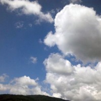 復活ならず