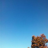 富士見パノラマ日和でした